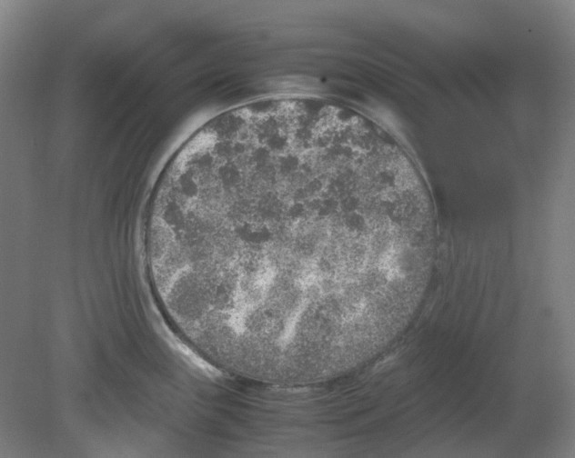X0000080141243200701051505