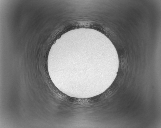 X0000080141249200701051504
