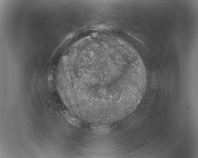 X0000080141254200701051504