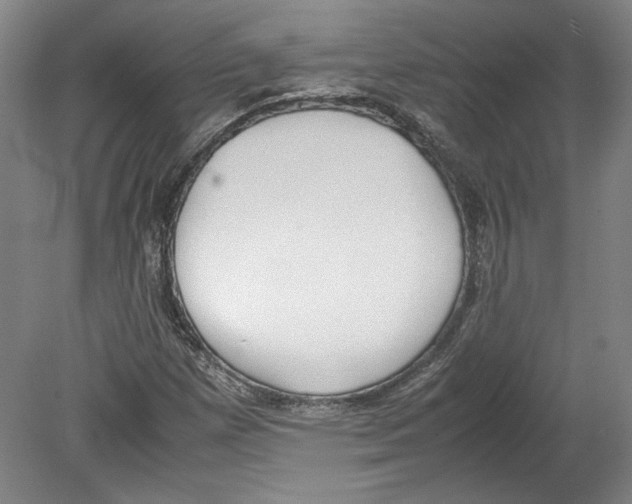 X0000080141257200701051504