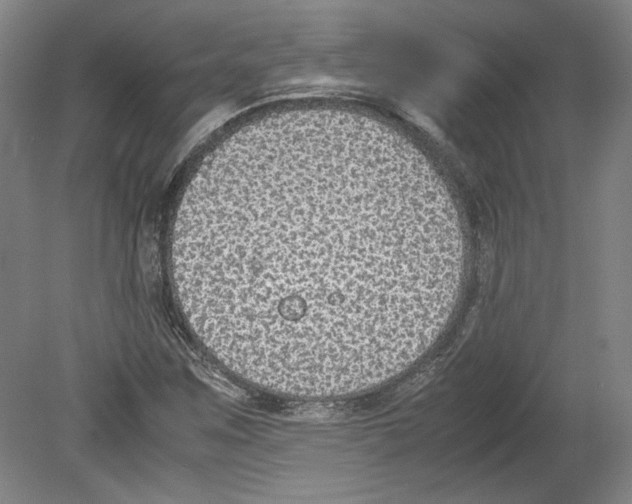 X0000080141259200701051504