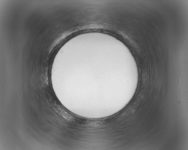 X0000080141262200701051504