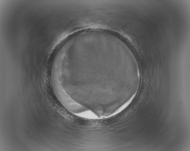 X0000080141263200701051504