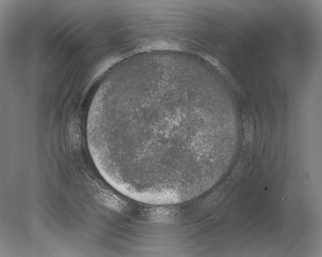 X0000080141266200701051504