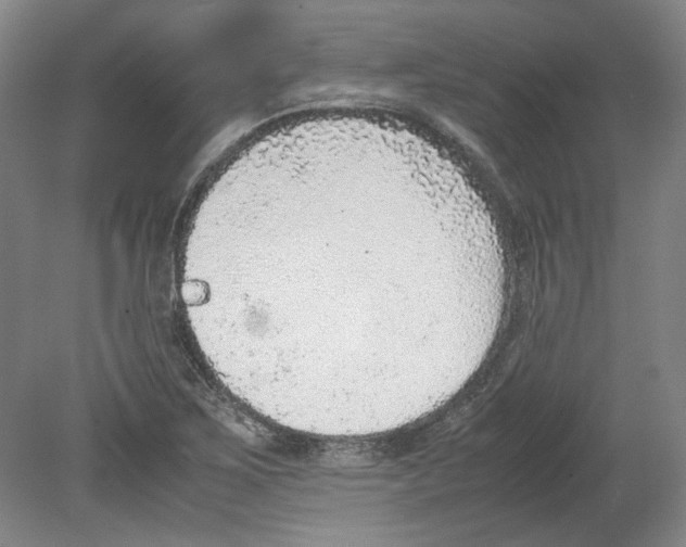 X0000080141267200701051504