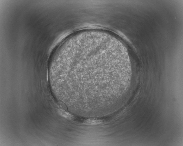 X0000080141269200701051504