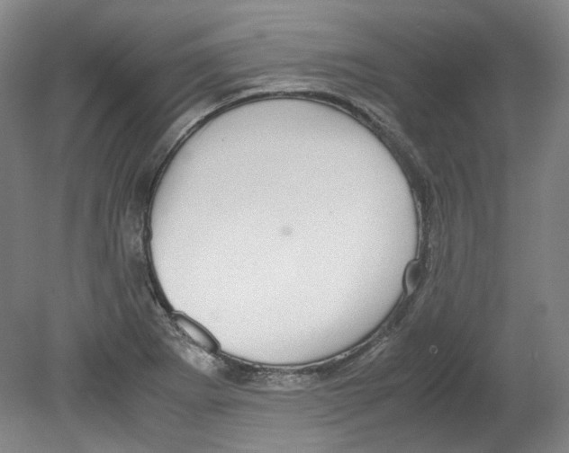 X0000080141273200701051504