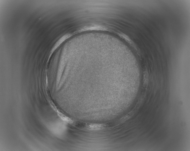 X0000080141274200701051504