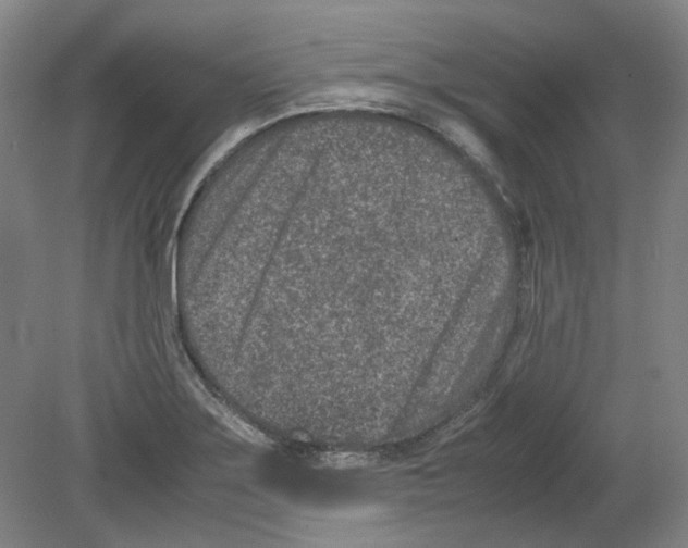 X0000080141275200701051504