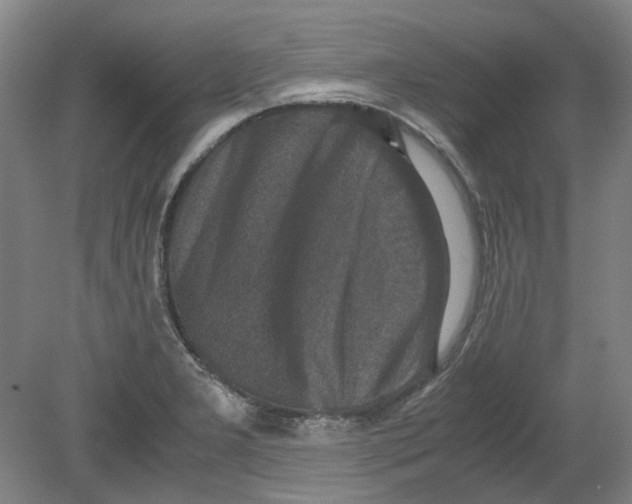 X0000080141277200701051504