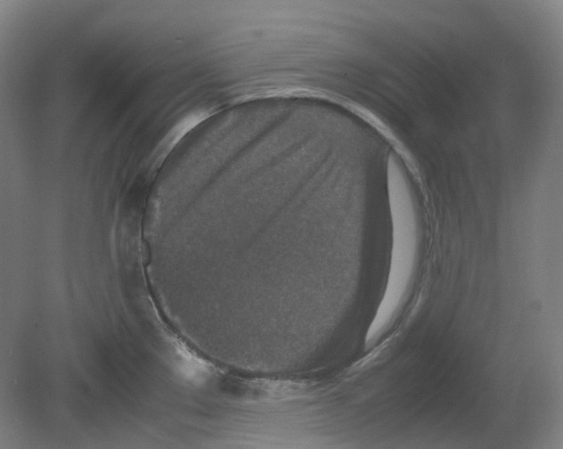 X0000080141289200701051504