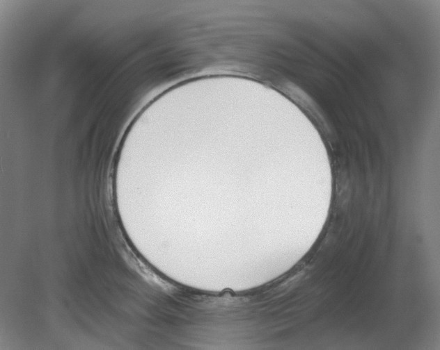 X0000080141292200701051504