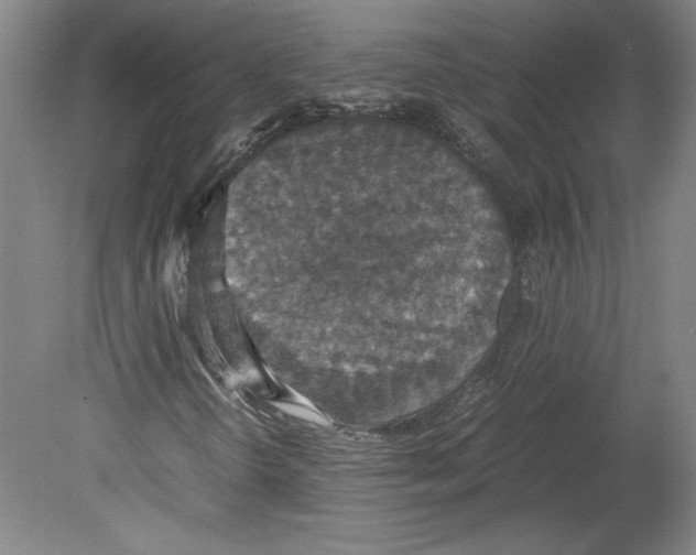 X0000080141298200701051503