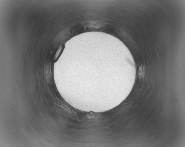 X0000080141299200701051503