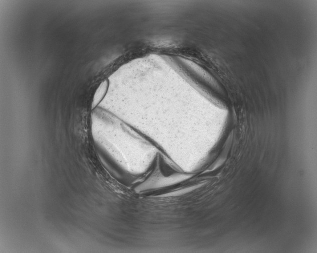 X0000080141301200701051503