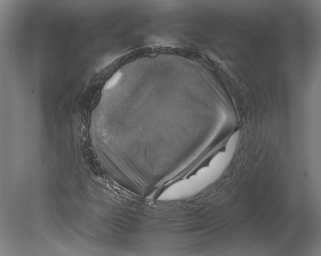 X0000080141303200701051503