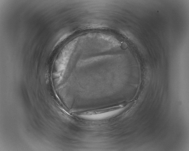 X0000080141306200701051503