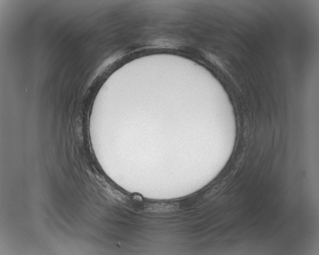 X0000080141307200701051503
