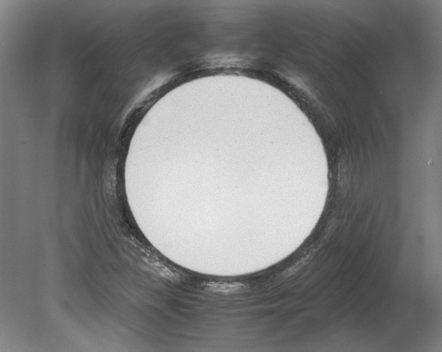 X0000080141309200701051503