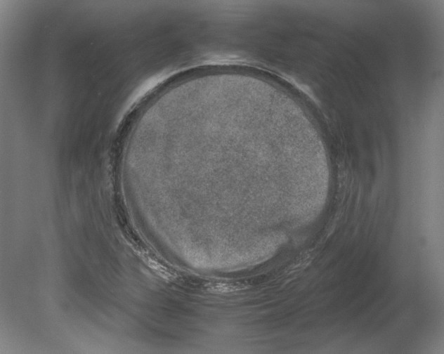 X0000080141311200701051503