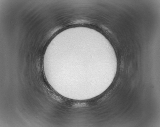 X0000080141313200701051503