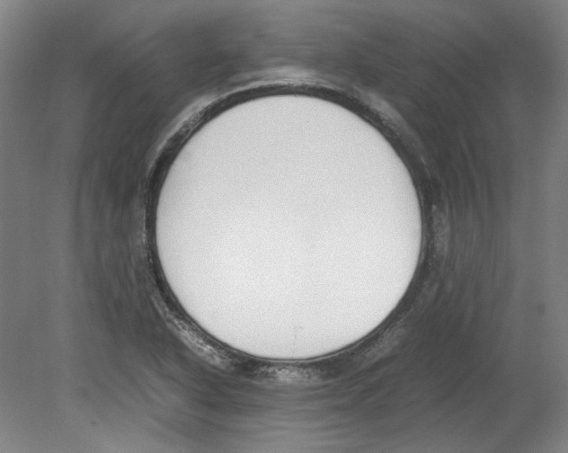 X0000080141318200701051503
