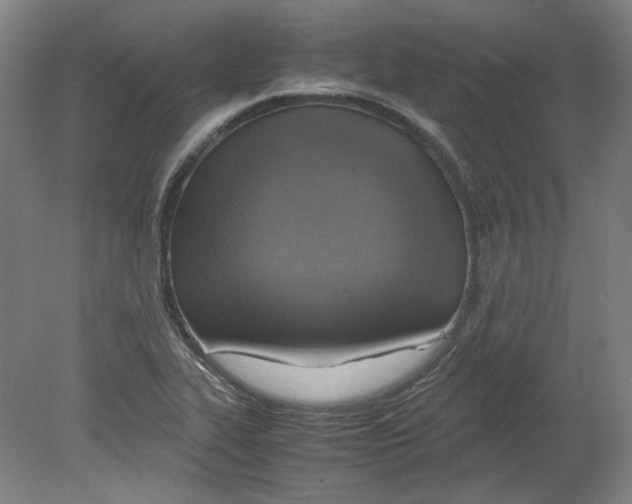 X0000080141319200701051503