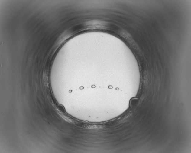 X0000080141321200701051503