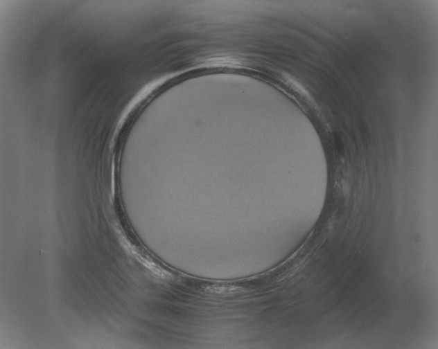 X0000080141323200701051503