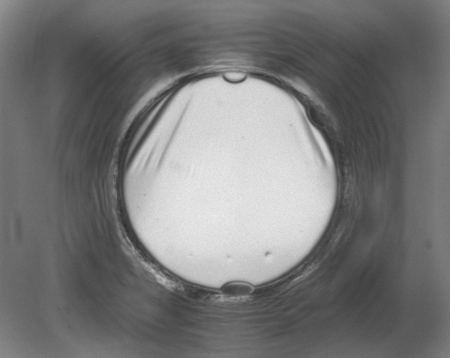 X0000080141325200701051503