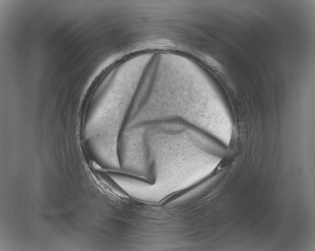X0000080141326200701051503