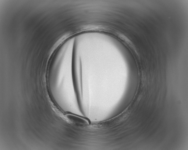 X0000080141330200701051503