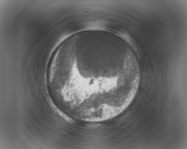 X0000080141331200701051503