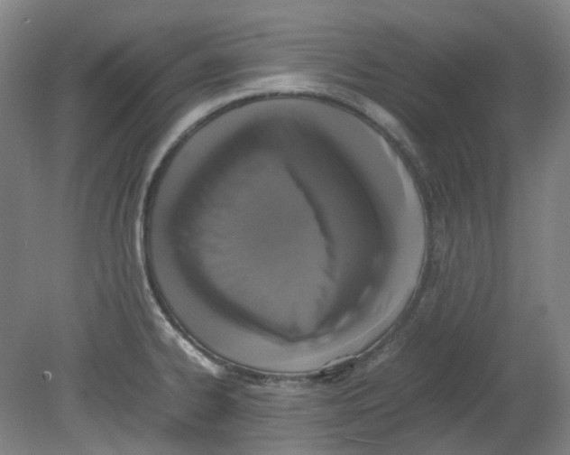 X0000080141334200701051503