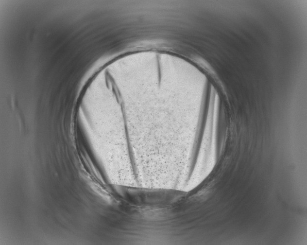 X0000080141336200701051503