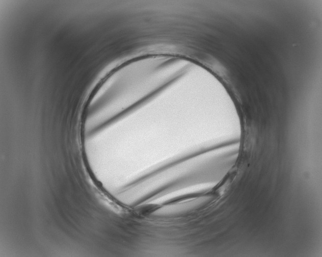 X0000080141342200701051503