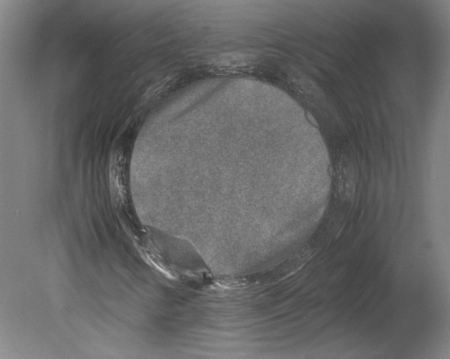 X0000080141346200701051503