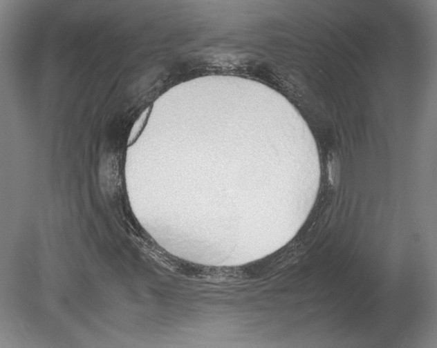 X0000080141347200701051503