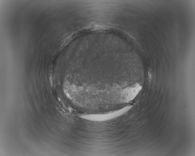 X0000080141348200701051503