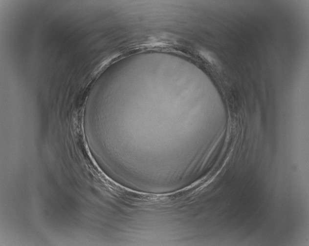 X0000080141353200701051503