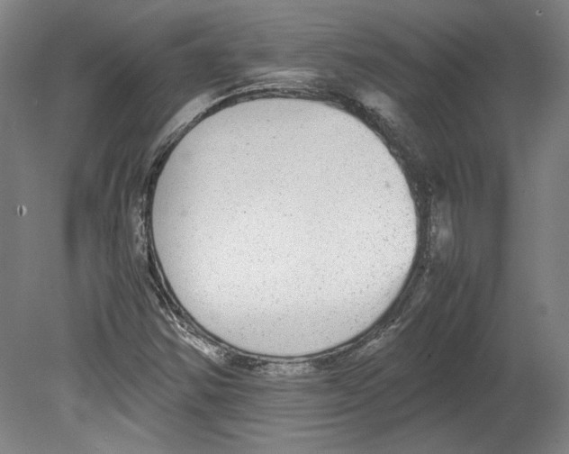 X0000080141354200701051503
