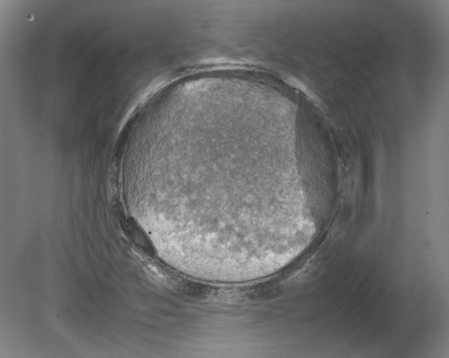X0000080141357200701051502