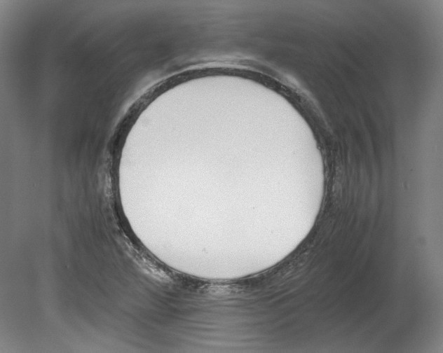 X0000080141360200701051502