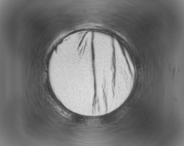 X0000080141363200701051502