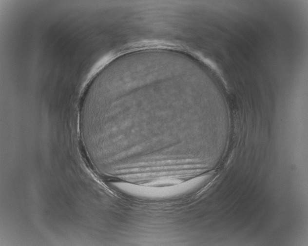 X0000080141365200701051502