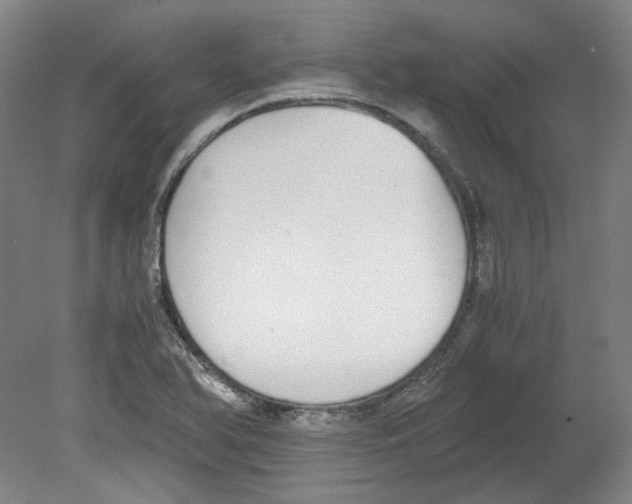 X0000080141366200701051502