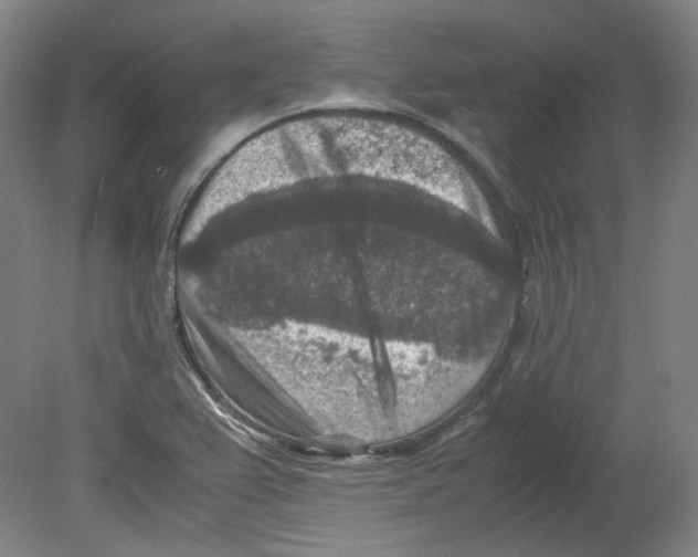 X0000080141367200701051502