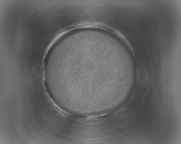 X0000080141368200701051502