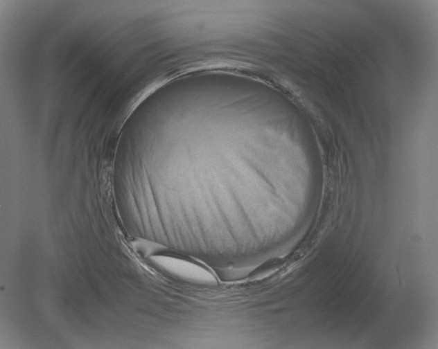 X0000080141369200701051502
