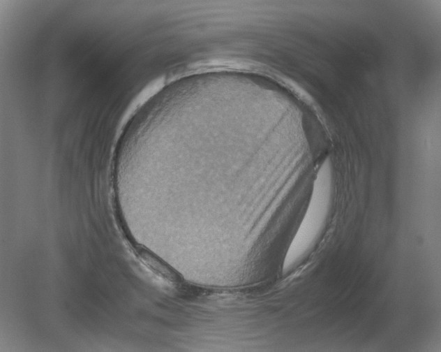 X0000080141373200701051502